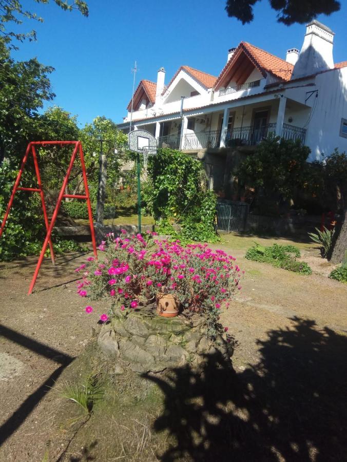 Гостьовий будинок Casa Do Balcao Alcains Екстер'єр фото